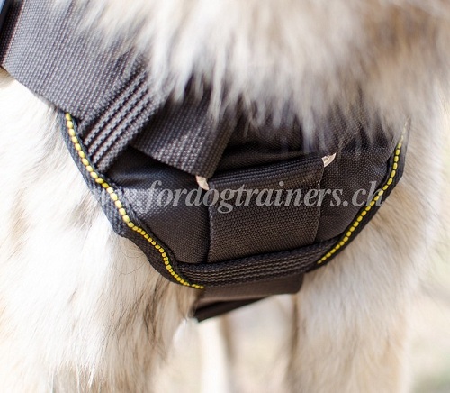 Nylon Hundegeschirr belgischer schferhund genf