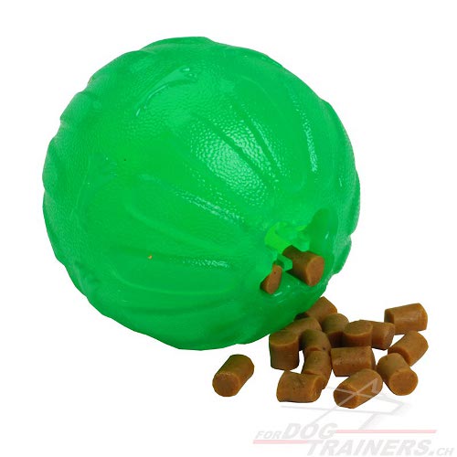  gummiball
futterspielzeug kaufen