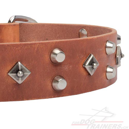 hundehalsband in leder bern