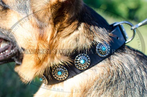 German Shepherd Collar Leather stylish Switzerland