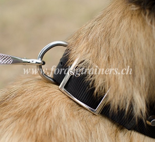 nylon hundehalsband nieten tervueren
handgemacht