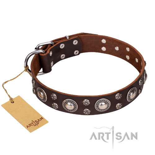 
Leather dog collar brown artisan