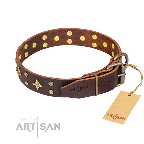 Hundehalsband Braun fr tgliche Verwendung kaufen
