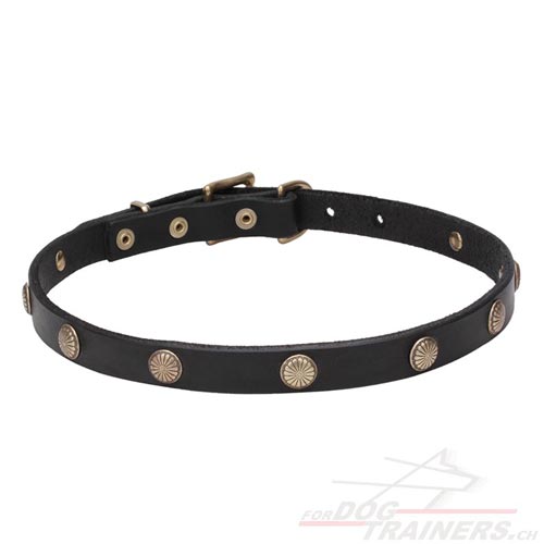 Dnnes Lederhalsband schweiz