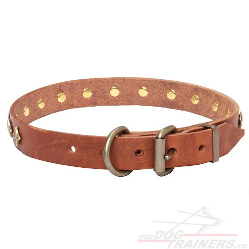 hundehalsband leder 25 mm sterne schweiz