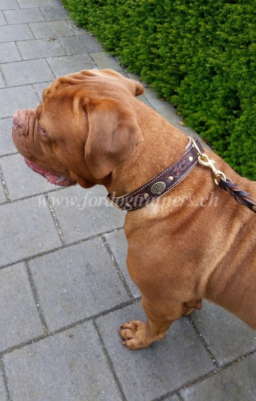 halsband
aus leder Bordeauxdogge