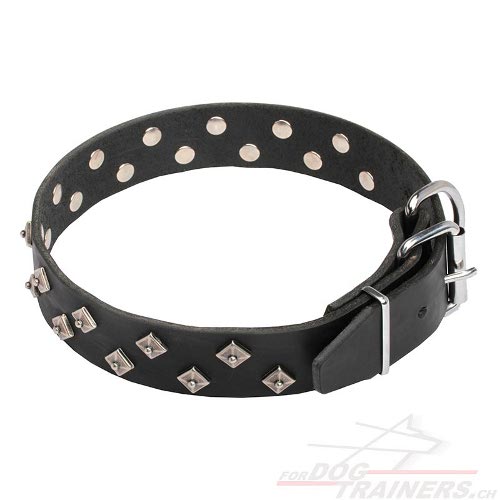 fordogtrainers leder halsband sternfrmige Nieten schweiz