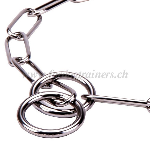 kettenhalsbnder Edelstahl langhaarige hunde
Fordogtrainers online