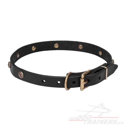 halsband leder mit gravierten messing
nieten schweiz