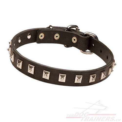 narrow leather collar with studs Switzerland
buy