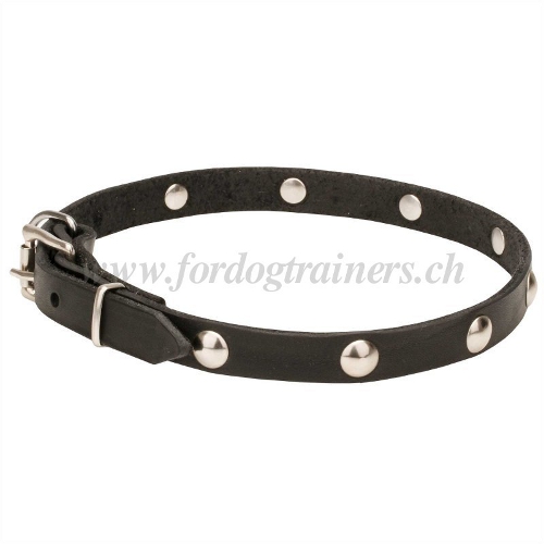 Nietenhalsband echtes leder handgemacht