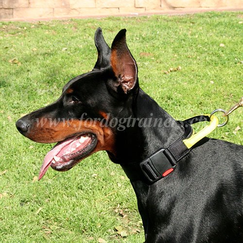nylon halsband schlaufe dobermann handgemacht
