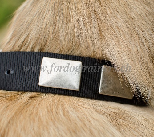Nylon Hundehalsband fr Tervueren Hund handgemacht