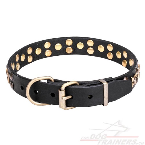 hundehalsband
leder handgemacht mit bronzierten Sternen