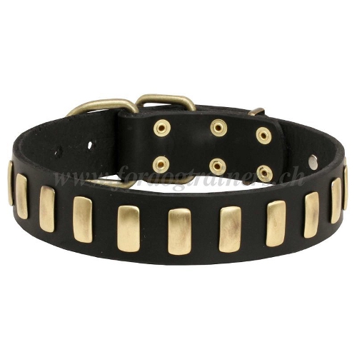  Leder halsband hund mit Platten