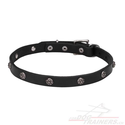 Hunde Lederhalsband Dnn mit gravierten Nieten schweiz