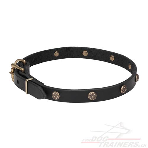 halsband aus leder dnn gravierte
messing nieten