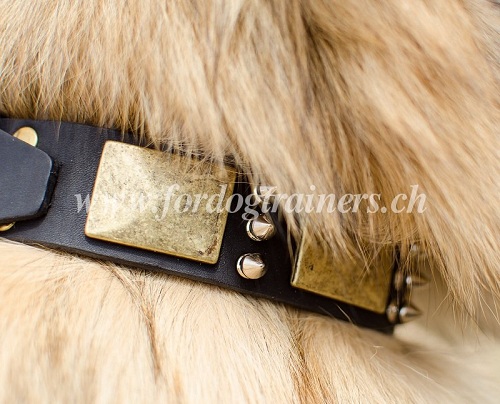 halsband tervueren kaufen