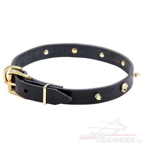 messing totenkopf halsband leder handgemacht