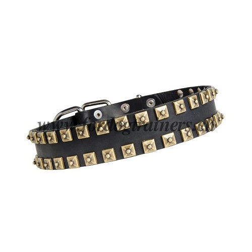 Hunde Halsband Leder breites Messing nieten