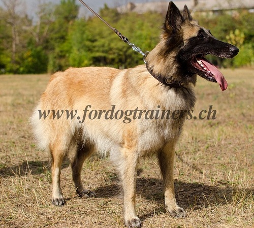 halsbnder leder conchos Tervueren