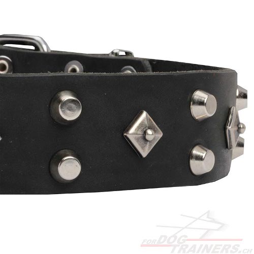lederhalsband jagdhund mit nieten