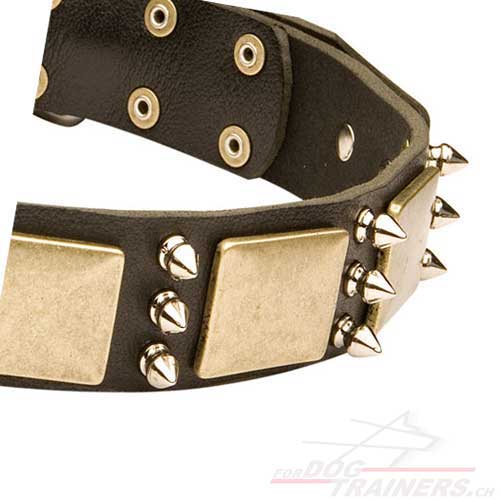 leder hundehalsband
kaufen