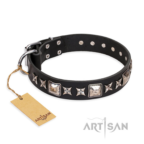 Hundehalsband geschenk artisan