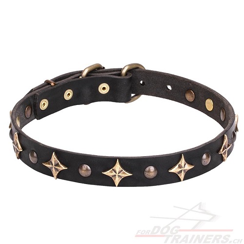 Lederhalsband mit bronzierten Sternen kaufen