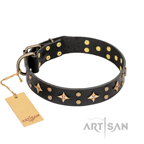 Schnes Halsband Leder von FDT Artisan