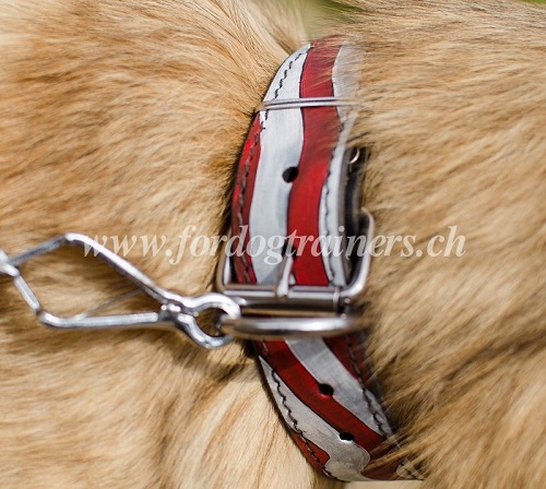 Handbemaltes Hundehalsband fr Tervueren im
amerikanischen Stil