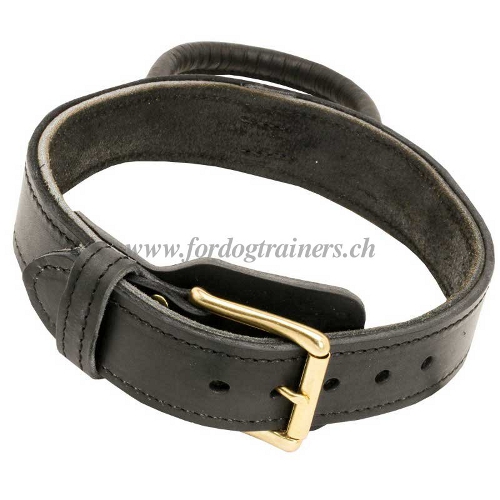 halsband mit griff leder Messing schnalle schweiz