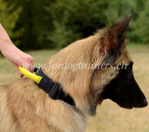 Nylon Hundehalsband fr Tervueren luzern