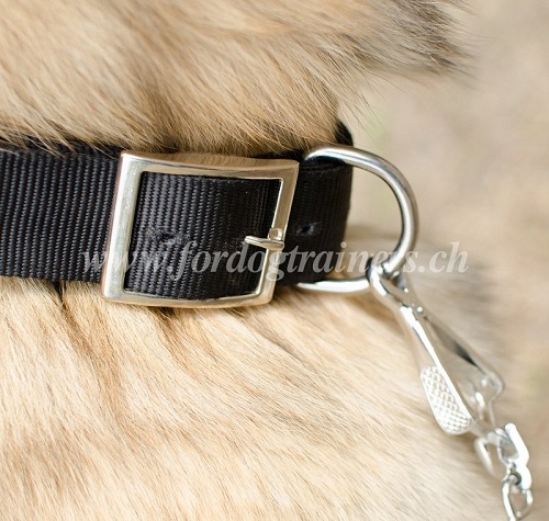 nylon hundehalsband namensschid Tervueren
handgemacht