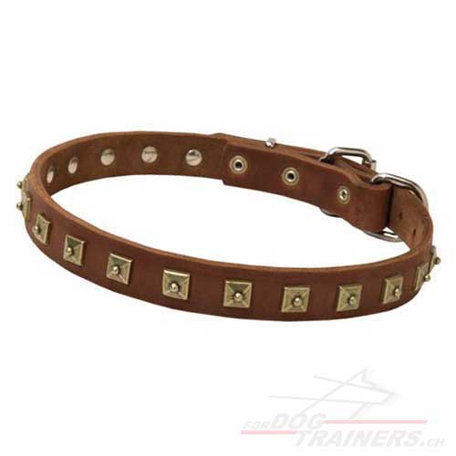 Schferhund Halsband Leder mit Quadrat-Nieten