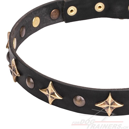 hundehalsband leder handgemacht mit
bronzierten Sternen