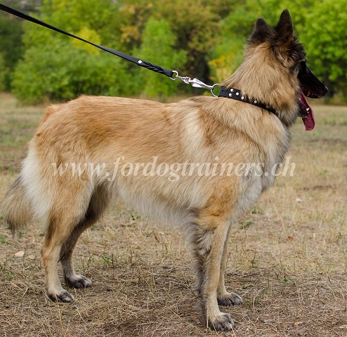 hundehalsband handgemacht Tervueren