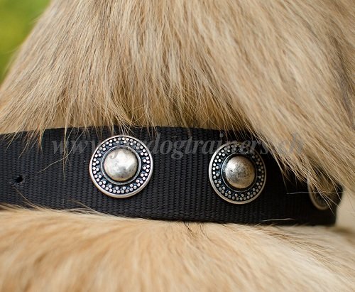 nylon halsband conchos Tervueren handgemacht