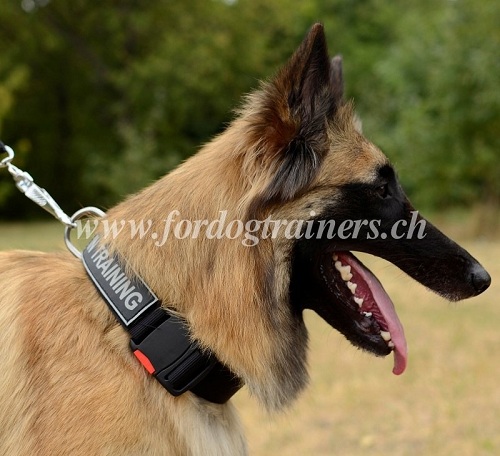 nylon halsband Tervueren handgemacht