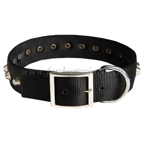 halsband nylon genietet basel