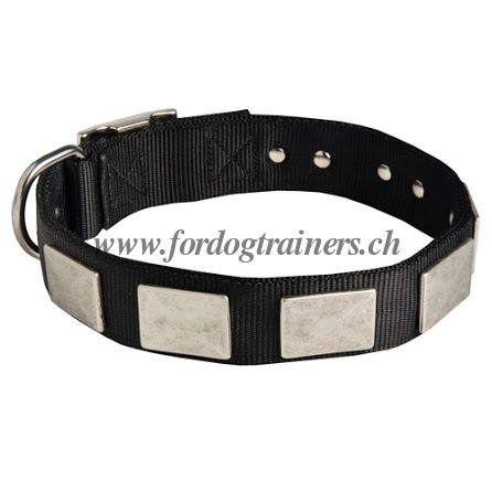 halsband nylon hundesport schweiz