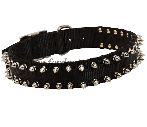 halsband nylon spikes schweiz