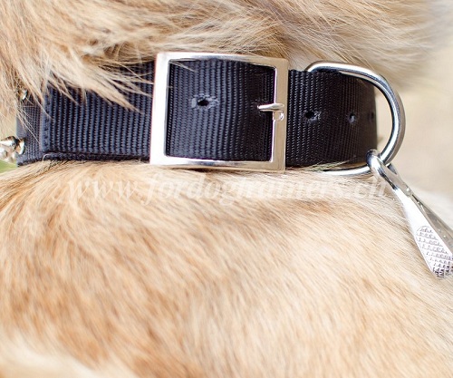 nylon hundehalsband spikes Tervueren
handgemacht