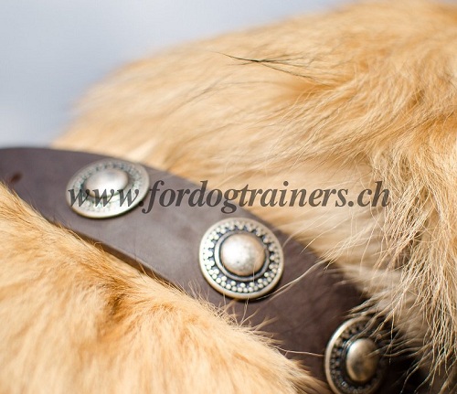 halsband leder conchos Tervueren