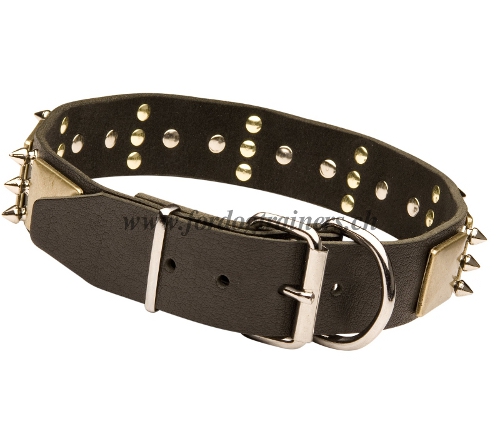 leder halsband
hunde schweiz