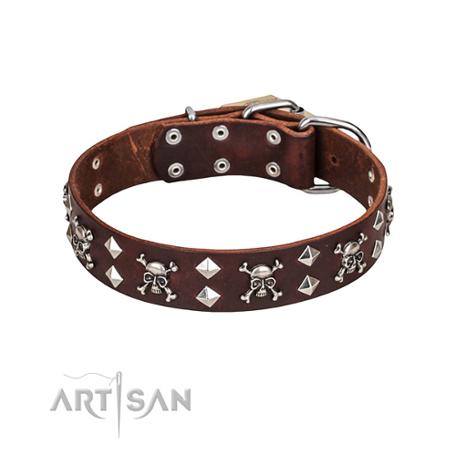 Hundehalsband braun totenkopf artisan schweiz