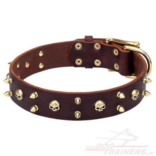 leder
halsband totenkopf schweiz