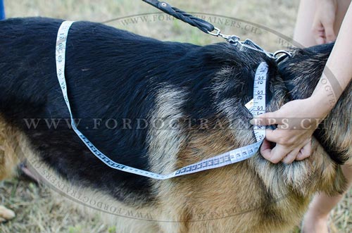 Bestes Brustgeschirr fr Schferhund bestellen