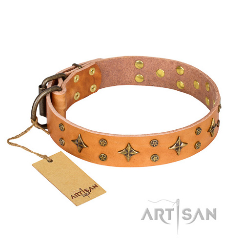 Halsband aus hellbraunem Leder mit Messing-Dekoration