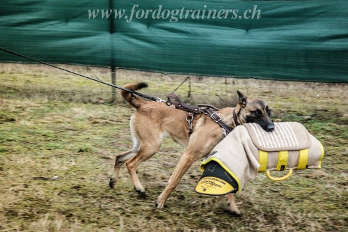 beiarm verkleidung malinois bandog